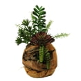 thumbnail image 2 of D&W Silks Jade Plant, Aloe, Echeveria and Mini Dracaena in Wooden Root Ball Planter, 2 of 2
