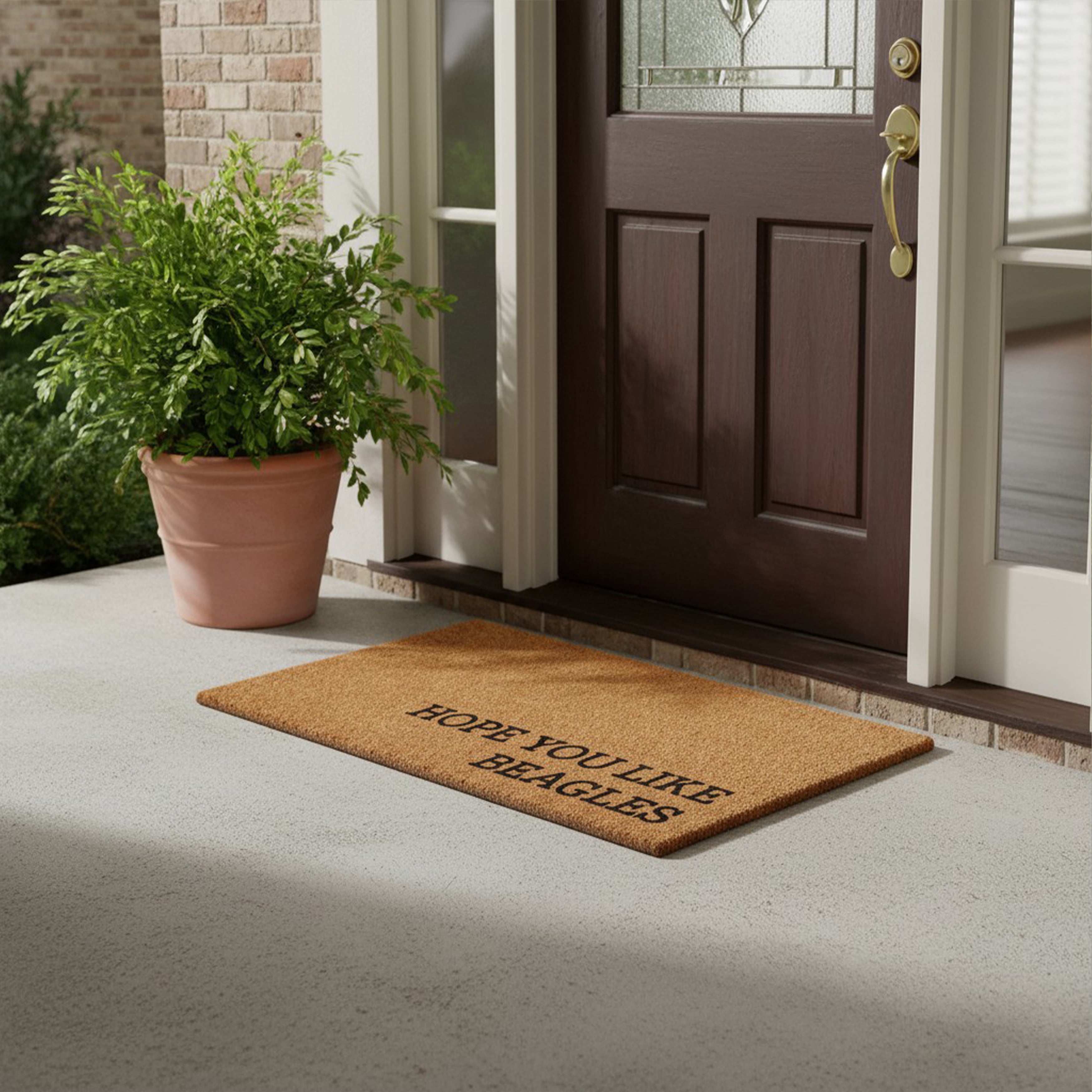 Hope You Like Beagles Non Slip Vinyl Backing, Front Door Mat, Entryway Door Mat, 17"x29"