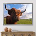 thumbnail image 3 of Designart 'Close Up Portrait Of A Yak' Farmhouse Framed Art Print, 3 of 4