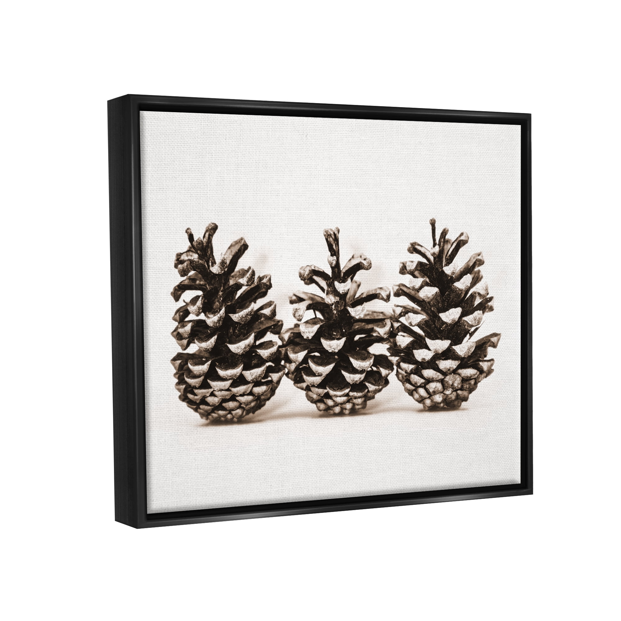 Stupell Industries Three Pinecones Nature Botanical & Floral Photography Black Floater Framed Art Print Wall Art, 21 x 17