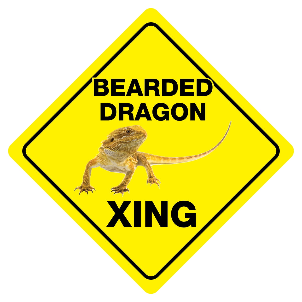 Bearded Dragon Warning Sign Lizard warning sign Funny small Pet sign 