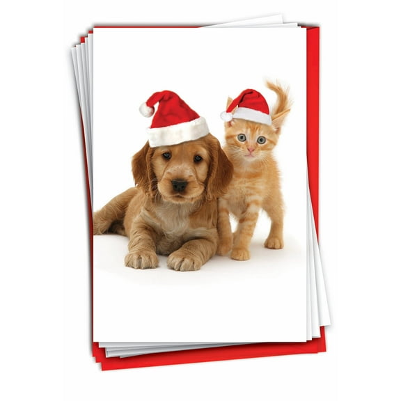 12 Merry Christmas Cards Pack (1 Design, 12 Cards) - Copy Cats B6596HXSG