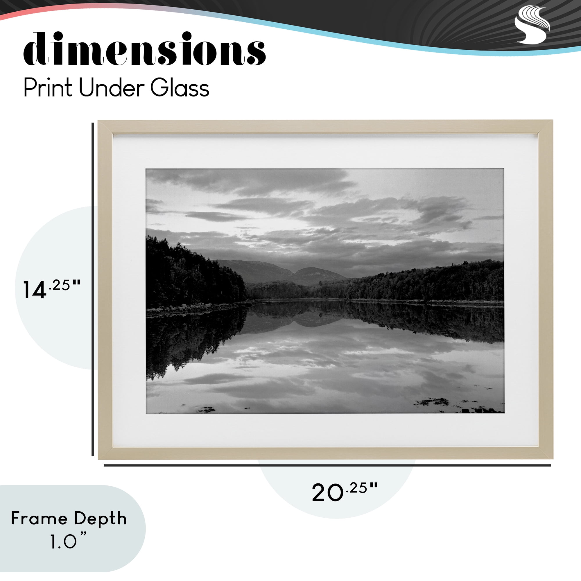 Stupell Industries Acadia Reflection in Monochrome Birch Framed Print Under Glass, design by MJ Photography