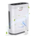 thumbnail image 2 of Bissell Antibacterial 2-in-1 Carpet Cleaner, Deep Clean, 2 of 4