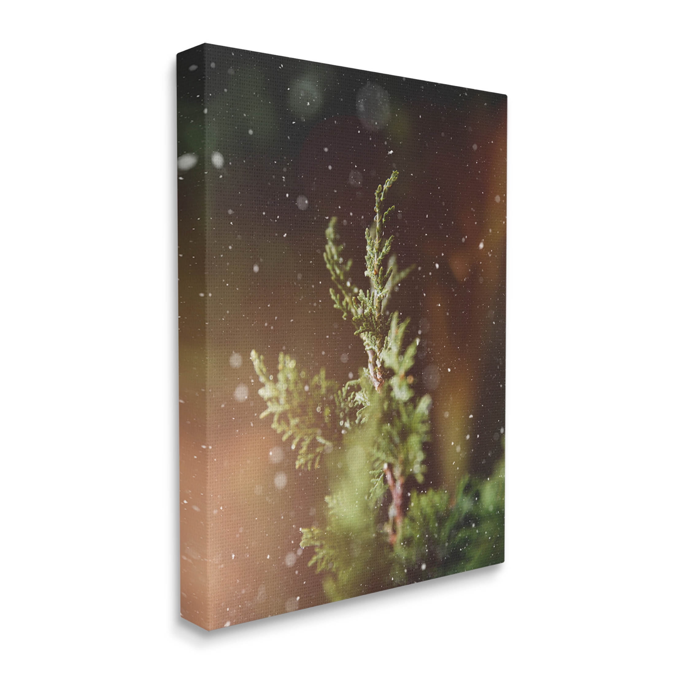 Winter Snowfall Night Pine Tree Holiday Photograph Gallery Wrapped Canvas Print Wall Art
