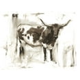 thumbnail image 2 of Harper, Ethan 18x15 White Modern Wood Framed Museum Art Print Titled - Longhorn Study I, 2 of 4