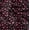 Black & Pink, variant on Soimoi Cotton Poplin Blue Fabric By the Yard - 42 Inch Wide - Florals, Leaves Print Fabric - Elegant & Beautiful Patterns for Fashion and Home Decor Printed Fabric