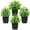 Green, variant on 2 Packs Small Fake Plants Mini Artificial Potted Plants for Table Desk Home Bathroom Office Decor