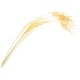 thumbnail image 4 of 4pcs Artificial Rice & Wheat Ears Bunches Faux Grass Centerpieces Home Wedding Office Rustic Decorative Dry Bouquet, 4 of 4