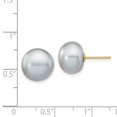 thumbnail image 3 of Auriga Fine Jewelry 14K Yellow Gold 10-11mm Grey Button Pearl Stud Earrings for Women, 3 of 5