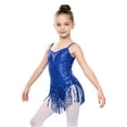 thumbnail image 5 of Aislor Kids Girls Shiny Sequin Latin Jazz Ballet Dance Dress with Tassel Hem Ballroom Party Costume 6-14 Royal Blue 14, 5 of 7