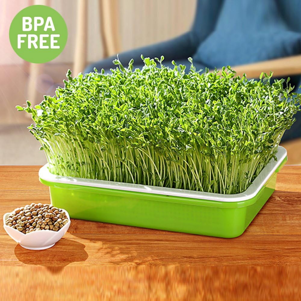 Tutuviw Set of 5 Garden Seed Sprouter Tray BPA Free PP Soil-Free Big Capacity Healthy Wheatgrass Grower with Lid Sprouting 13x9.5x1.8inches