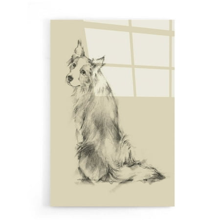 

Epic Art Puppy Dog Eyes VI by Ethan Harper Acrylic Glass Wall Art 16 x24