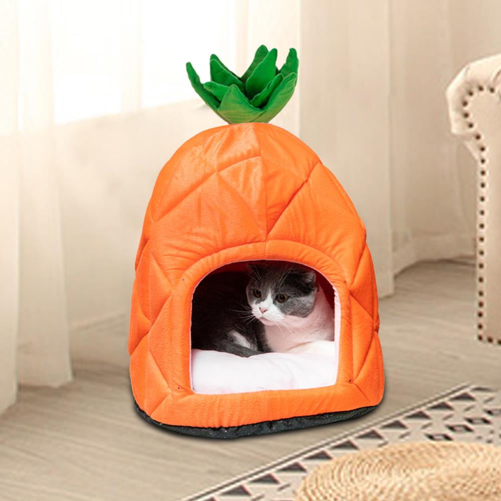 orange cat bed