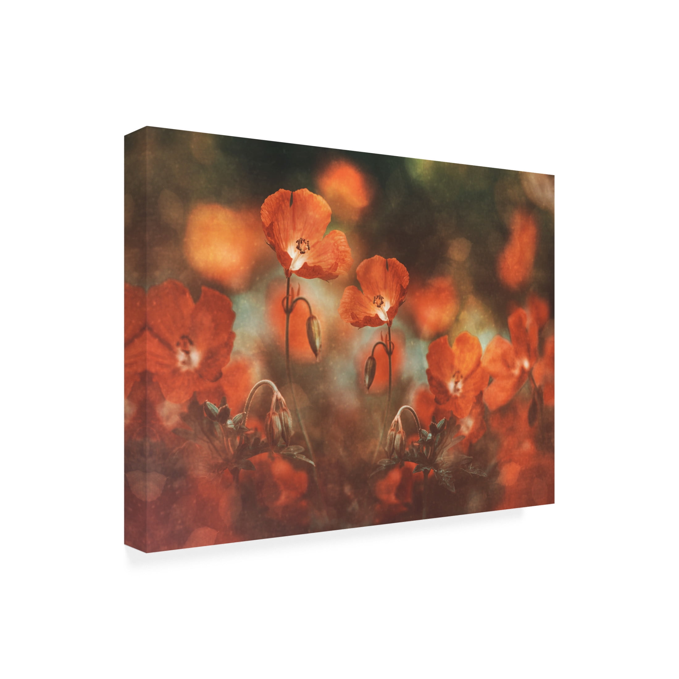 Canvas Wall Art - Nikki Georgieva V 'Floral Art In Red' Wall Art for Living Room, Bedroom, or Office Décor by Trademark Fine Art - 19 x 14 Inches