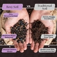 thumbnail image 3 of Rosy Soil Orchid Potting Mix, Coarse Fast Draining Orchid Soil with Biochar, Peat Free Mix for Healthy Roots, Indoor Orchids, 4 qt, 3 of 8