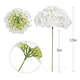 thumbnail image 2 of Cabezas Flores Hortensia Artificial Boda Fiesta Decora 12pzs Xtellar blanco, 2 of 3