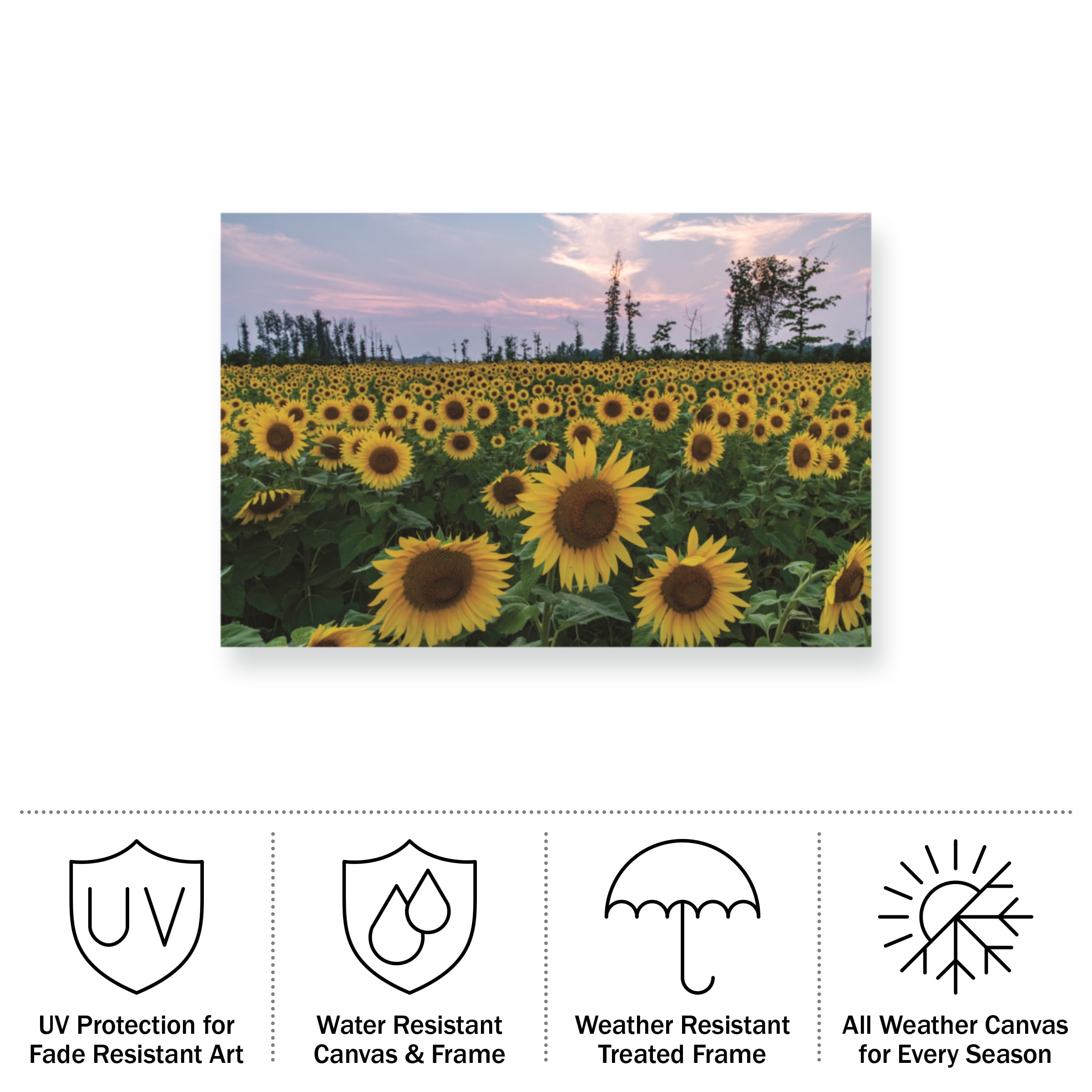 Kurt Shaffer 'Sunflowers Of Hope' Outdoor Canvas 16x24