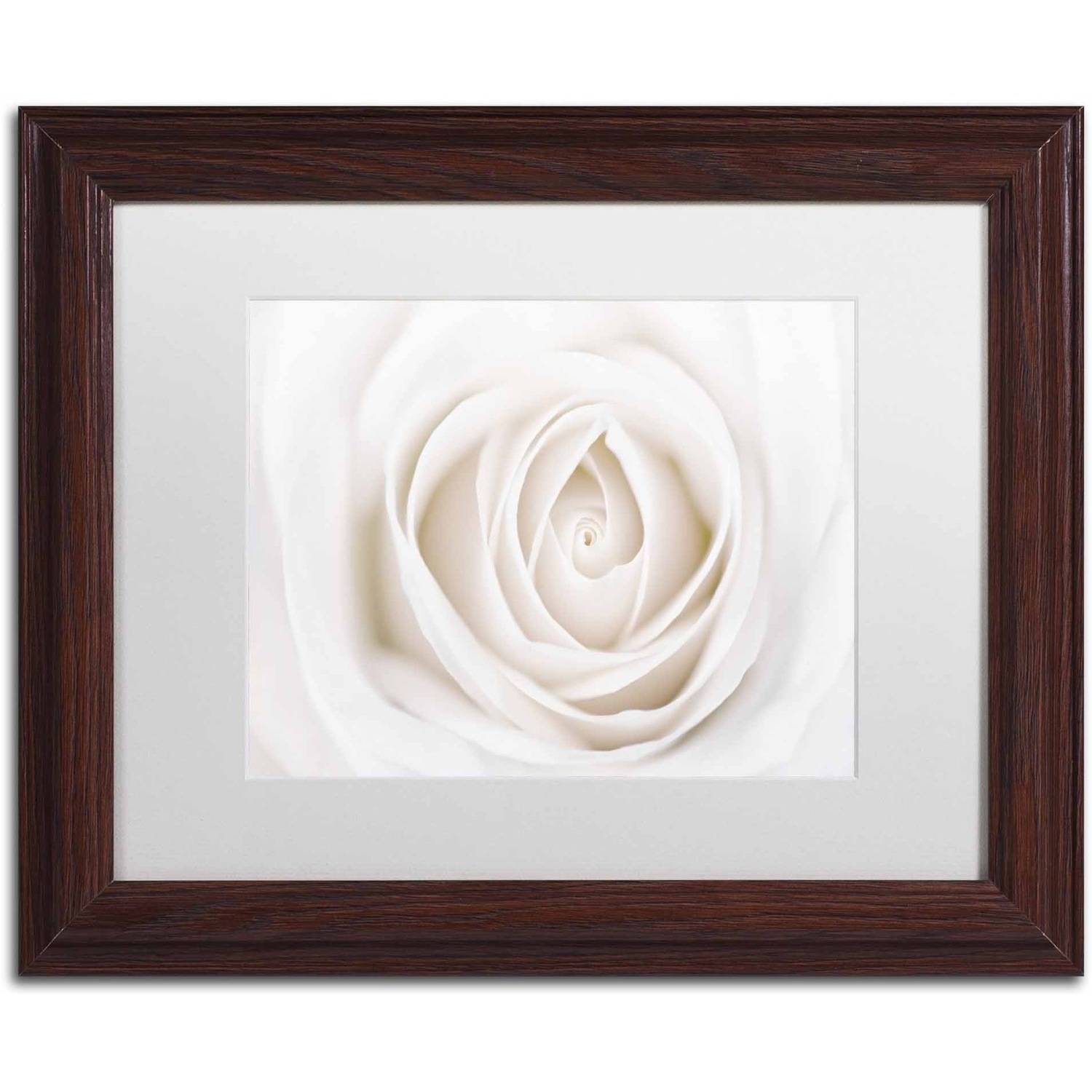 Trademark Fine Art 'White Rose' Canvas Art by Cora Niele, White Matte