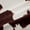 Wheat Brown, variant on Erosebridal Teens Abstract Cow Print Black Out Curtains,Farm Animal Curtains Pack of 2 (42x63 Each) For Boys Girls