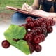 thumbnail image 2 of Uvas simuladas de plástico, simulación decorativa falsa de fruta, decoración para el hogar y la boda, 17cm, 2 of 10