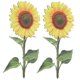 thumbnail image 1 of unbranded 2Ud Adornos Acrílicos De Girasol Amarillo Para Jardín Y De Césped Exterior, 1 of 7