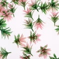 thumbnail image 3 of MERIGLARE 50 Pcs Modèle Fleur Mini Paysage Architecture Train Chemin de Fer Arbres Rose, 3 of 6