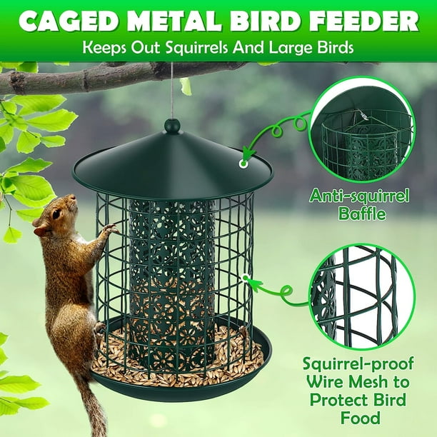 Comedero Para Pájaros, Para Ardillas Y Pájaros, Comedero Col