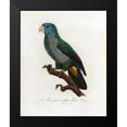 thumbnail image 2 of Barraband, Jacques 15x18 Black Modern Framed Museum Art Print Titled - Le Perroquet a face bleu, 2 of 5