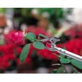 ARS Rose Pruner, 2Foot