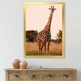 thumbnail image 3 of Designart 'African Giraffe In The Wildlife I' Farmhouse Framed Art Print, 3 of 4