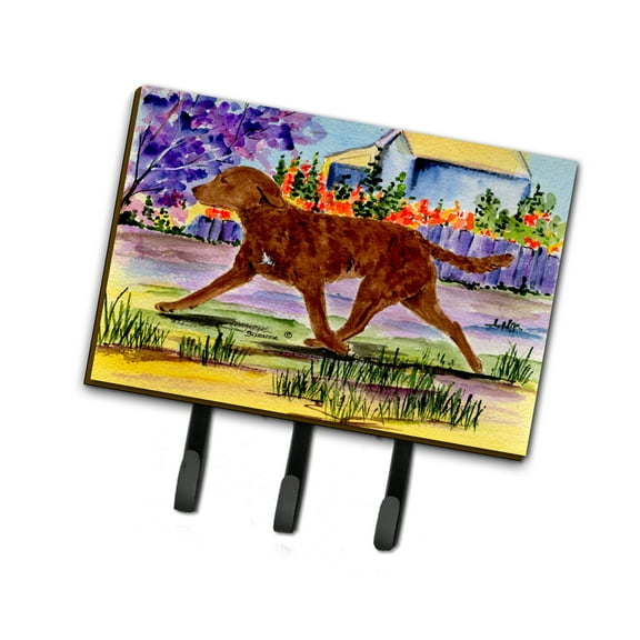 Carolines Treasures SS8435TH68 Chesapeake Bay Retriever Leash Holder or Key Hook, Large, Multicolor