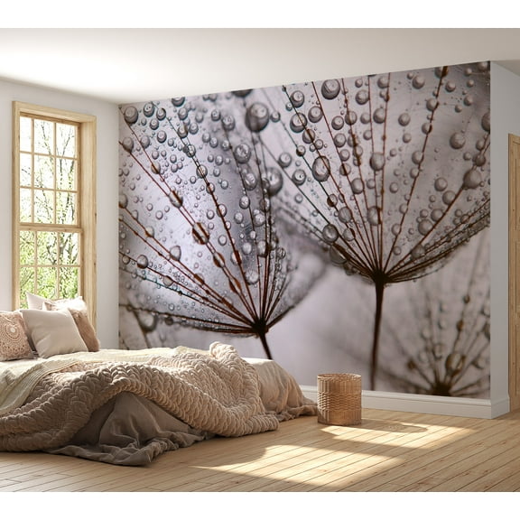 Tiptophomedecor Floral Wallpaper Wall Mural - Dandelion And Morning Dew