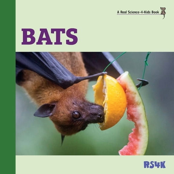 Bats, (Paperback)