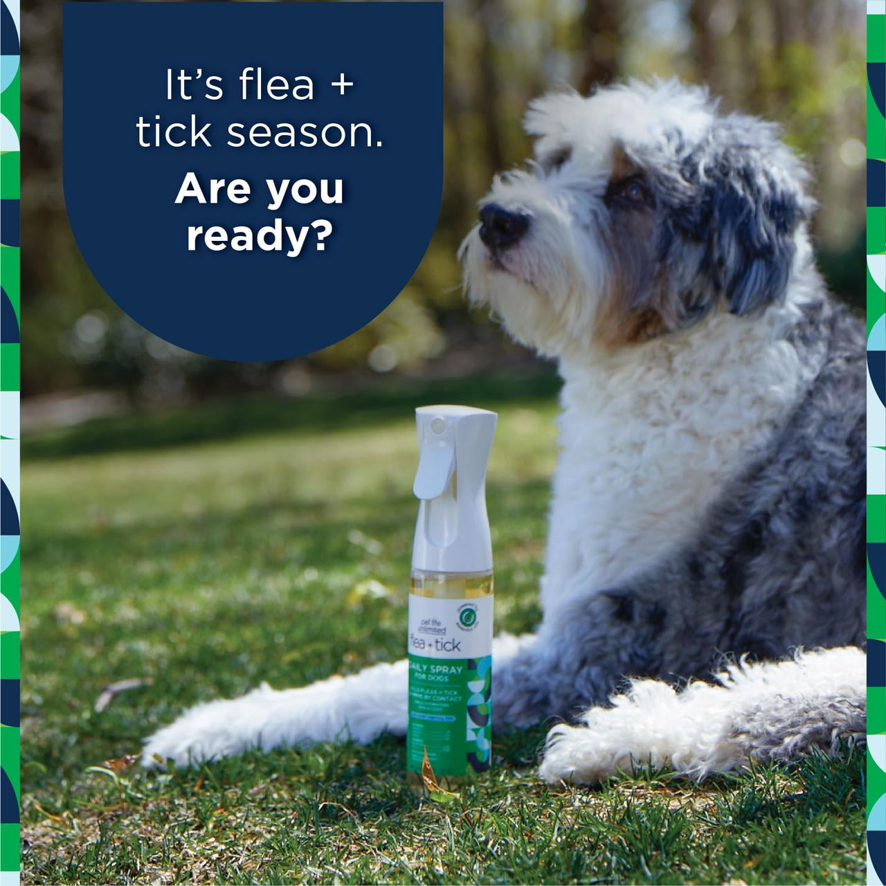 Pet Life Unlimited Flea Tick Daily Spray for Dogs 10oz