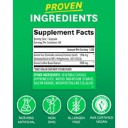 Zenwise Health Green Tea Extract with Green Coffee Bean Extract - Vegan Skin & Heart Support + Brain Health & Memory Boost - 60 Count