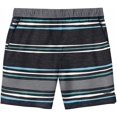 thumbnail image 3 of Speedo Men’s Hydro Volley Swim Shorts (Grey, Large), 3 of 3