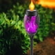 thumbnail image 4 of Luz solar para jardín Luz exterior Encendido/apagado automático IP65 Llama parpadeante impermeable, 4 of 9