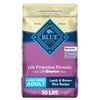 Blue Buffalo Life Protection Formula Large Breed Lamb and Brown Rice Dry Dog Food for Adult Dogs, Whole Grain, 30 lb. Bag