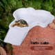 thumbnail image 4 of Cuenco de agua para tortugas Cuenco de agua para reptiles Cuenco de agua para tortugas Cuenco de agua para tortugas Se puede desmontar y montar Lavabo de baño para tortugas, 4 of 6