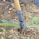 thumbnail image 3 of Weed Puller with Wood Long Handle, Root Remover for Garden Care, 3 of 5