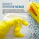 thumbnail image 4 of Limpiador de baño y desincrustante de cristales | Elimina manchas difíciles, suciedad y cal del agua dura | Para azulejos, bañera, inodoro y grifos | Botella de 100 ml, 4 of 9