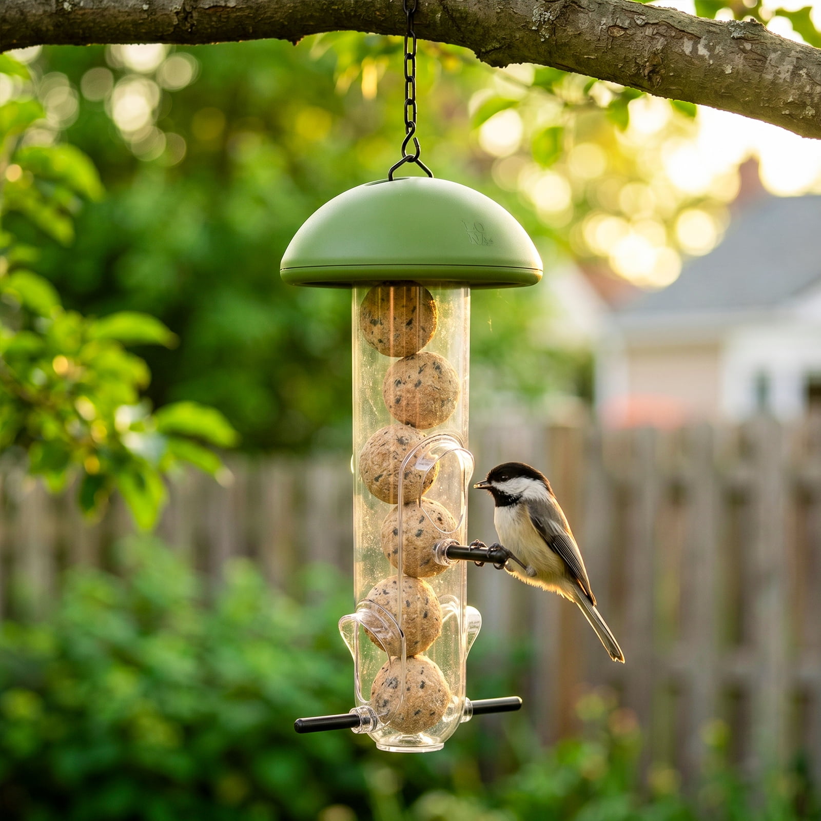 LONA Suet Ball Bird Feeder Outdoor Hanging Fat Ball Feeders, Durable Weatherproof Washable for Wild Birds
