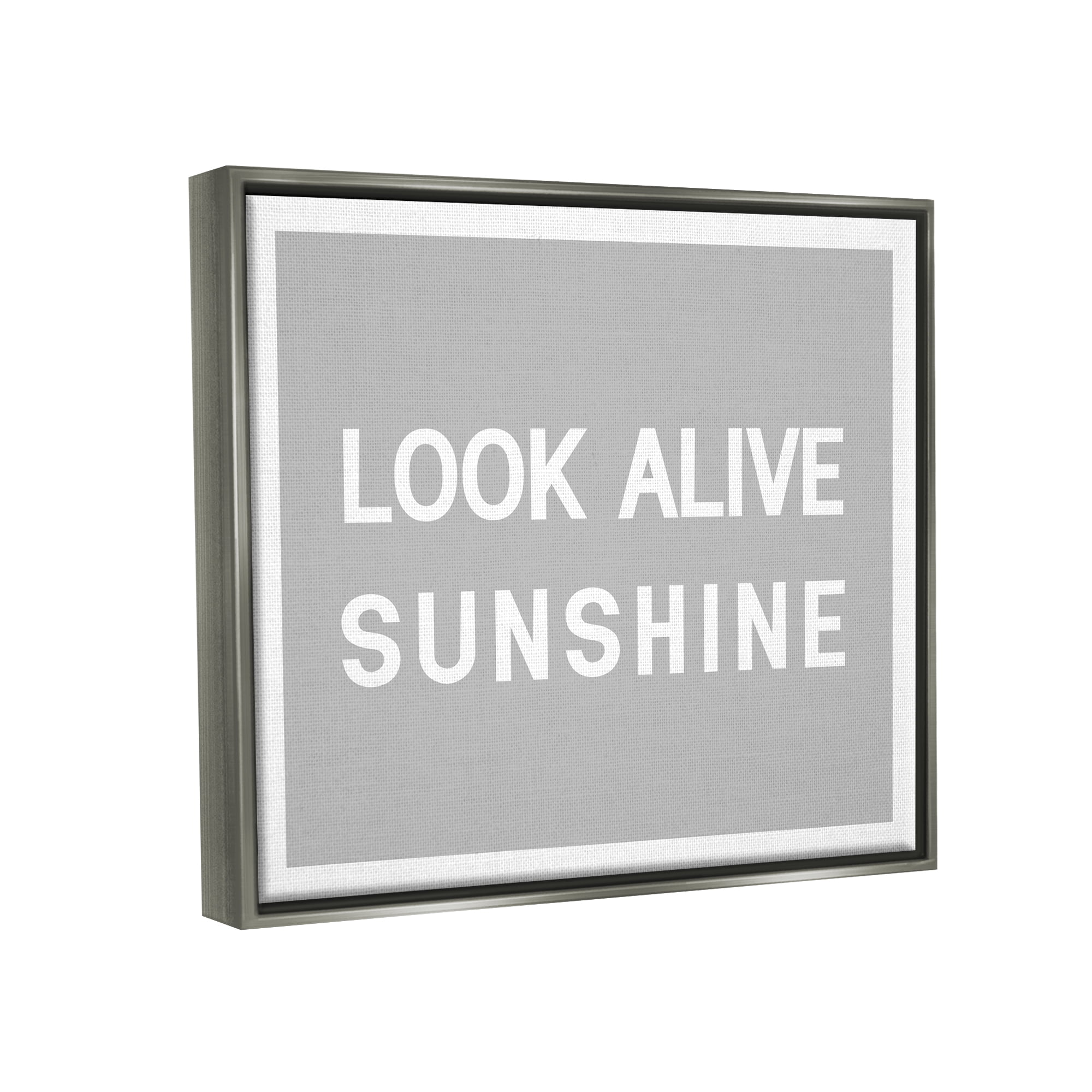 Stupell Industries Look Alive Sunshine Simple Grey Inspirational Painting Gray Floater Framed Art Print Wall Art