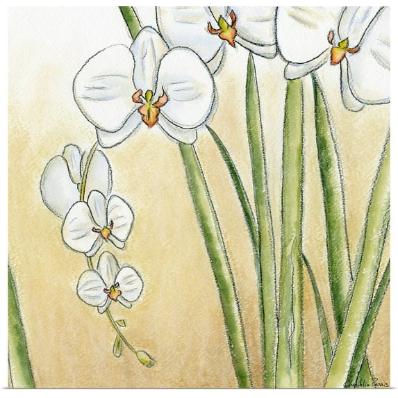 Great BIG Canvas | Rolled Chariklia Zarris Poster Print entitled Sunset Garden II