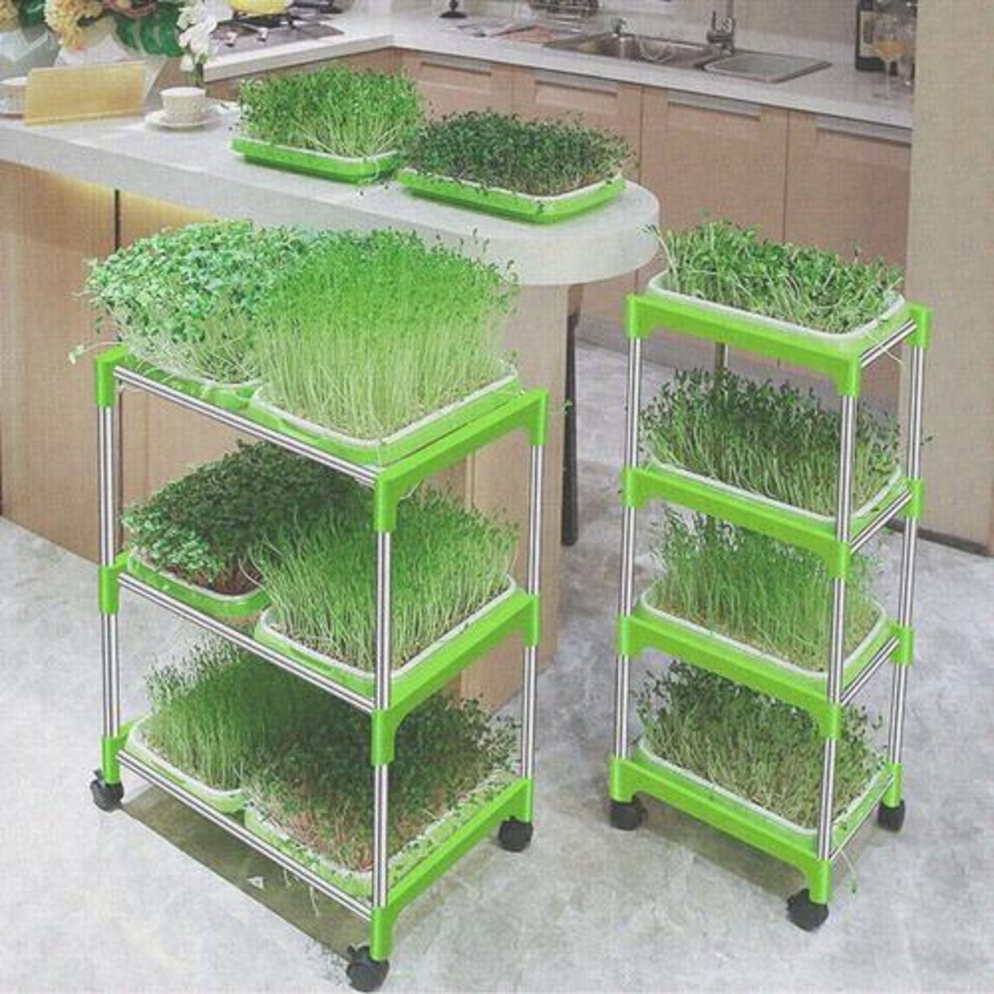 3Pcs Set Seedling Tray Household Seed Sprouter Wheatgrass Grower Seedling Tray