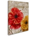 thumbnail image 2 of Trademark Fine Art "March" Canvas Art by Color Bakery, 2 of 3