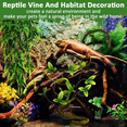 thumbnail image 4 of VNEKVA 11 Pack Reptile Terrarium Accessories, Bearded Dragon Hammock with Plants, Vines, Hide Cave for Lizard Gecko, 4 of 6