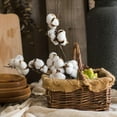 thumbnail image 4 of Artificial Cotton Stem, 4 of 12