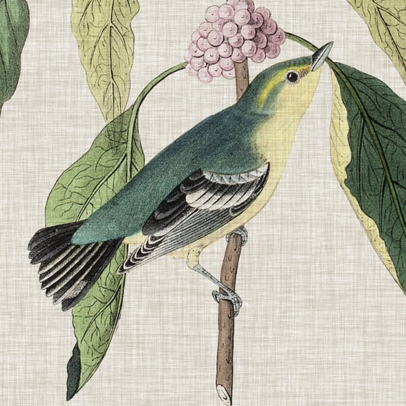 Art.com Avian Crop IV Art Print by John James Audubon, 16" x 16"